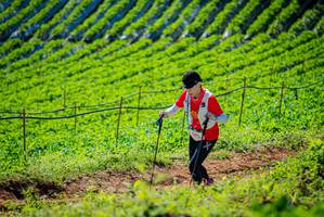 BIB: 
                            <button type="button" onclick="openModal(19161949)" class="btn btn-primary btn-sm float-right btn-popup" data-toggle="modal" data-target=".modal-high-quality">
                        <i class="fas fa-shopping-cart"></i> Add to Cart
                    </button>
                                            <button type="button" onclick="isThisMe(19161949, true)" class="btn btn-success btn-sm float-right btn-popup btn-isme hidden" data-toggle="tooltip" data-placement="bottom" title="นี่คือรูปของคุณใช่ไหม คลิกที่นี่เพื่อเอาเข้าอัลบั้ม">
                        <i class="fas fa-plus"></i> Add to album
                    </button>
                    <button type="button" onclick="isThisMe(19161949, false)" class="btn btn-warning btn-sm float-right btn-popup btn-isnotme hidden">
                        <i class="fas fa-ban"></i> Remove from album
                    </button>